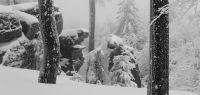 96-jan-18-tiefster-Winter-nach-einer-Woche-Schneefall---am-Hirschenstein-bm