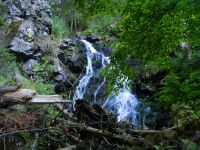 143-Wasserfall-im-Hoellbachspreng-am-Falkenstein---ft