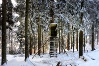 98_w_Hochsitz_im_winterlichen_Wald