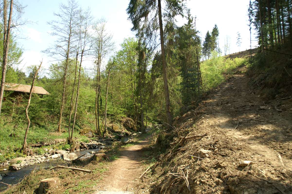 perlbachtal_20110425