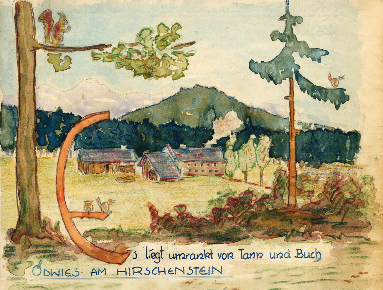Oedwies