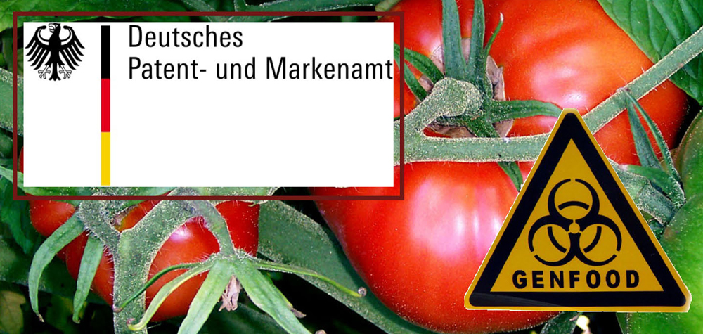 18 07 matsch-tomate