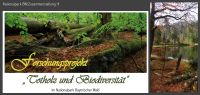 32-Forschungsprojekt-Nationalpark-Totholz-und-biodiversitaet