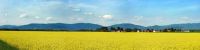 73_a_Bayerwald-Panorama_mit_den_Farben_der_Ukraine_-_im_Vordergrund_Hundldorf_-_nn_2022_10_05