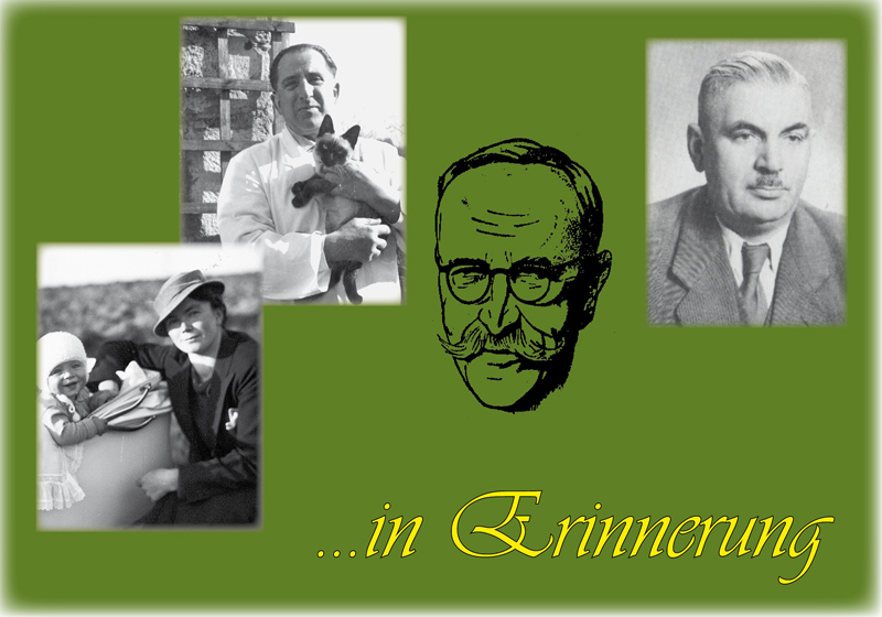 Link in Erinnerung w