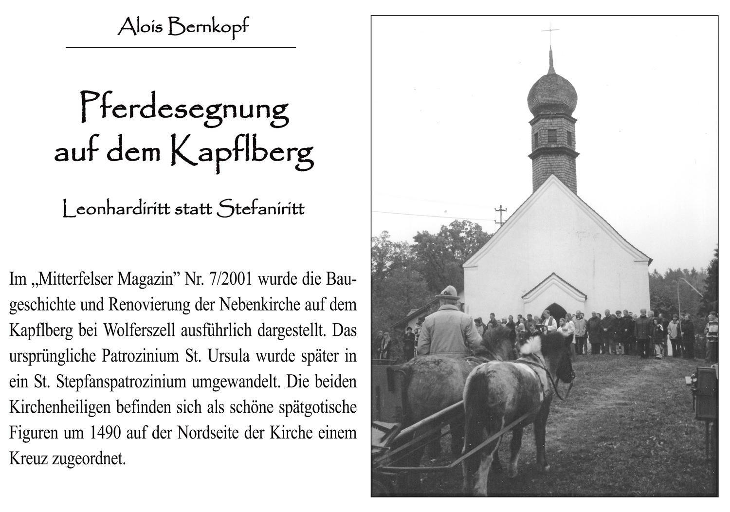 30 Pferdesegnung auf dem Kapflberg Titelbild w