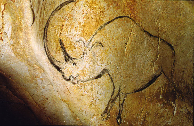 18 02 rhinocros grotte chauvet